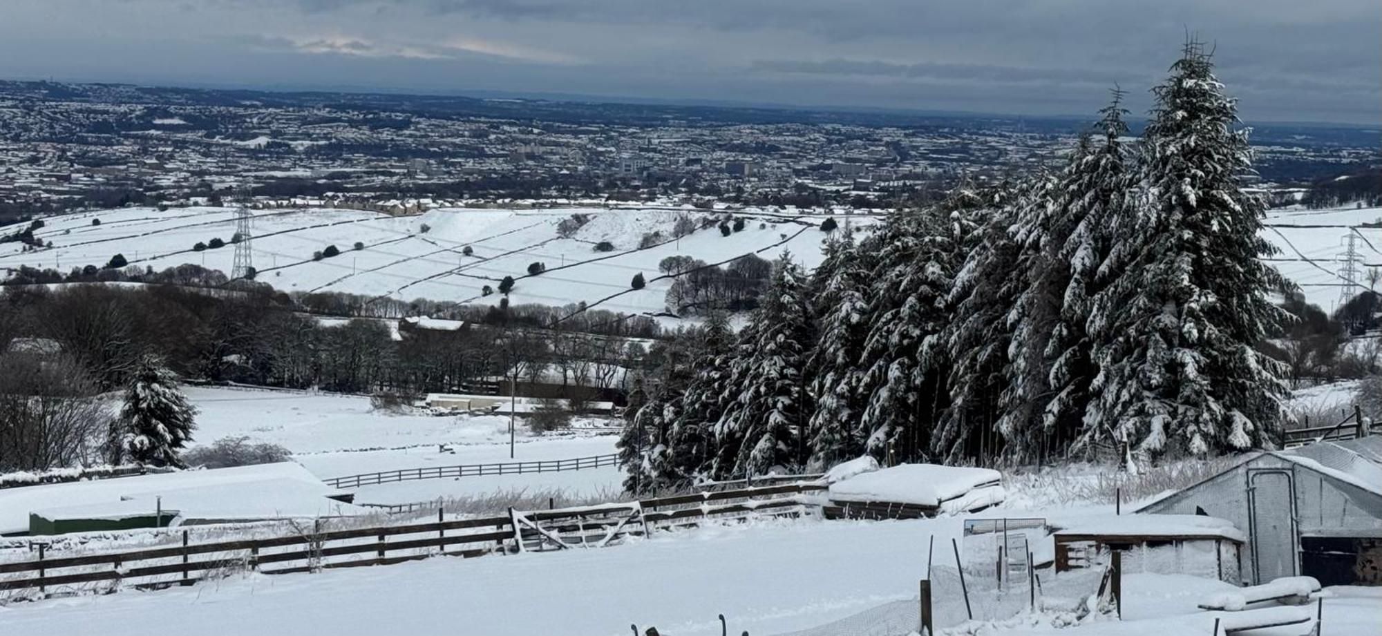 QueensburyMountain View公寓 外观 照片
